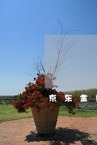 京东金条预期后可以只还本金吗 京东金条预期后可以只还本金吗