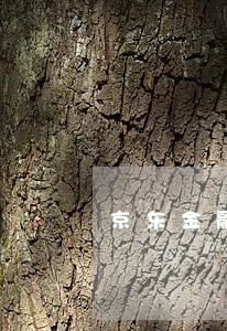 京东金融只还本金方案 京东金融只还本金方案