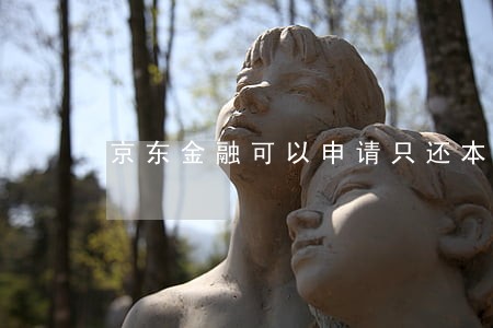 京东金融可以申请只还本金吗 京东金融可以申请只还本金吗