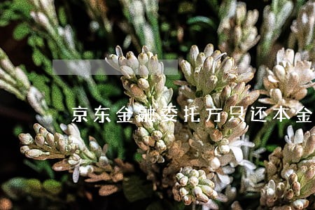 京东金融委托方只还本金 京东金融委托方只还本金