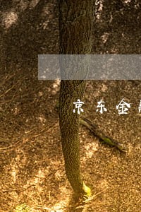 京东金融网贷逾期不想还