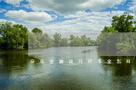 京东金融说只还本金怎样还 京东金融说只还本金怎样还