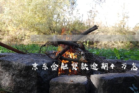 京东金融贷款逾期4万怎么办 京东金融贷款逾期4万怎么办