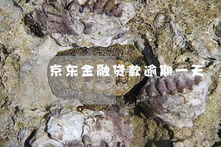 京东金融贷款逾期一天 京东金融贷款逾期一天