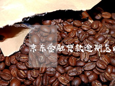 京东金融贷款逾期怎么处理 京东金融贷款逾期怎么处理