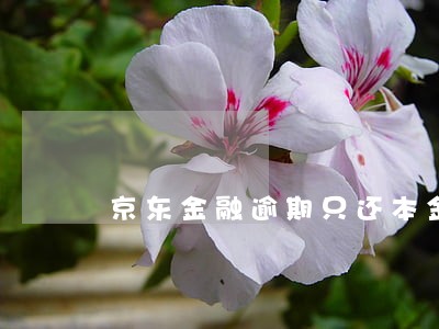 京东金融逾期只还本金可以吗 京东金融逾期只还本金可以吗