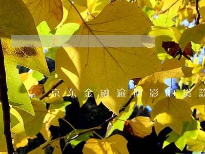 京东金融逾期影响贷款吗