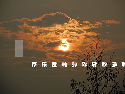 京东金融邮政贷款逾期怎么办 京东金融邮政贷款逾期怎么办