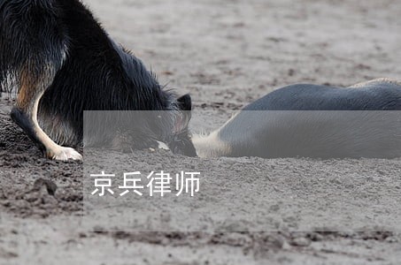 京兵律师 京兵律师