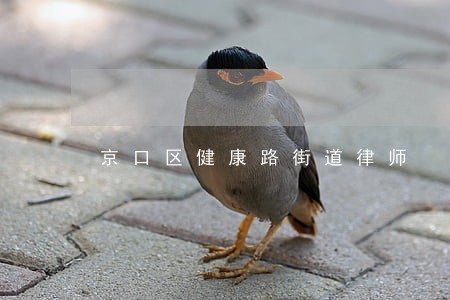 京口区健康路街道律师 京口区健康路街道律师