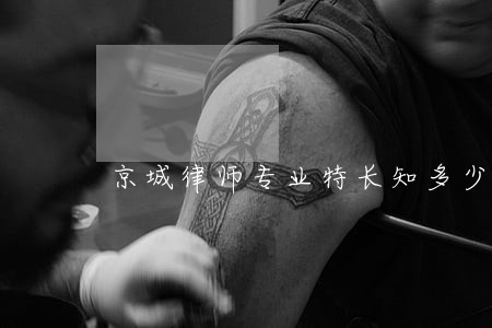 京城律师专业特长知多少 京城律师专业特长知多少