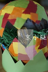 京小槌普法丨学习消防法规 京小槌普法丨学习消防法规