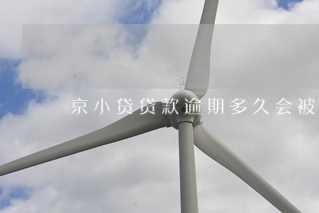 京小贷贷款逾期多久会被催收 京小贷贷款逾期多久会被催收