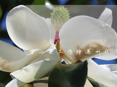 京山县工伤待遇纠纷律师 京山县工伤待遇纠纷律师