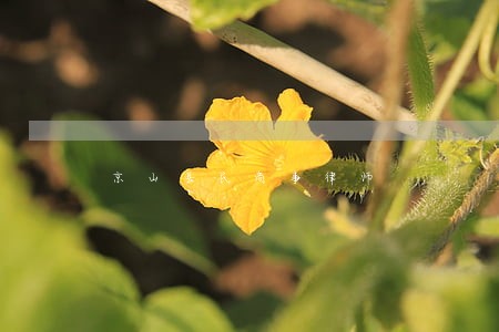 京山县民商事律师 京山县民商事律师