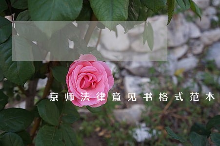 京师法律意见书格式范本