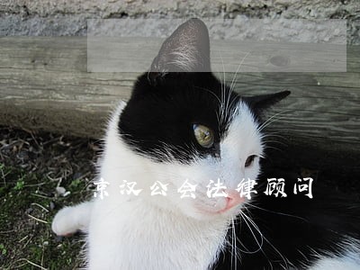 京汉公会法律顾问 京汉公会法律顾问