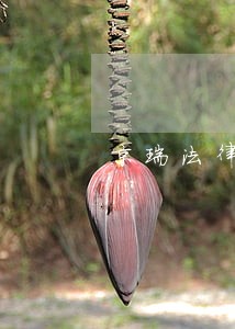 京瑞法律咨询（天津）有限公司