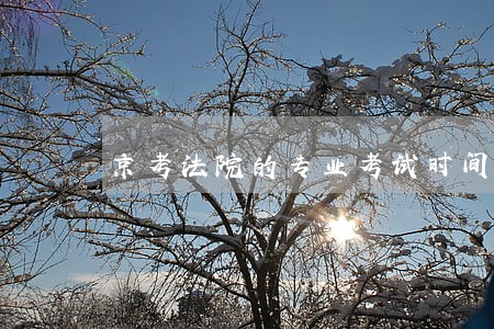 京考法院的专业考试时间 京考法院的专业考试时间