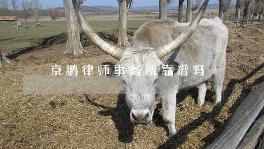 京鹏律师事务所靠谱吗 京鹏律师事务所靠谱吗
