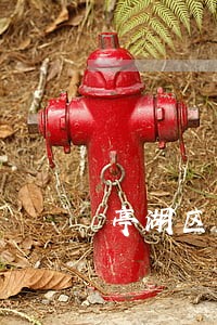 亭湖区五星街道指挥违法拆迁 亭湖区五星街道指挥违法拆迁