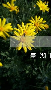 亭湖区刑事处罚辩护在线律师 亭湖区刑事处罚辩护在线律师