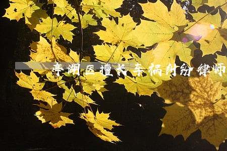 亭湖区擅长车祸纠纷律师 亭湖区擅长车祸纠纷律师