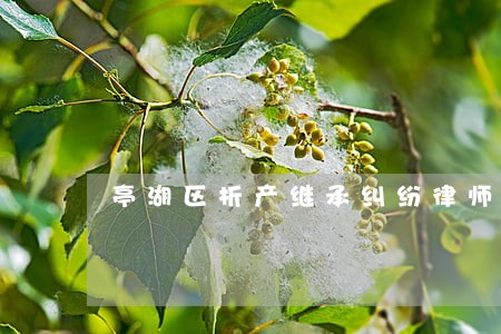 亭湖区析产继承纠纷律师