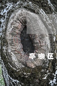 亭湖区破产清算在线律师 亭湖区破产清算在线律师