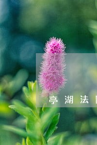 亭湖法院洪少峰判刑了么 亭湖法院洪少峰判刑了么