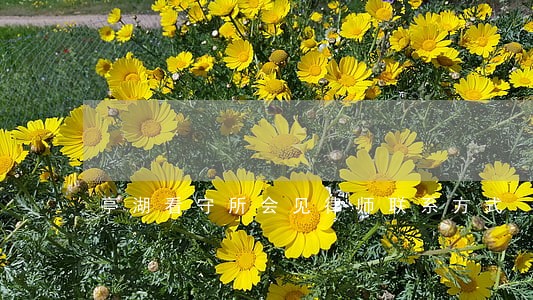 亭湖看守所会见律师联系方式 亭湖看守所会见律师联系方式