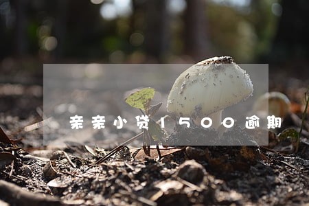 亲亲小贷1500逾期 亲亲小贷1500逾期