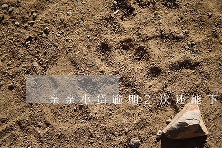 亲亲小贷逾期2次还能下款 亲亲小贷逾期2次还能下款