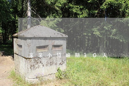 亲亲小贷逾期30天 亲亲小贷逾期30天