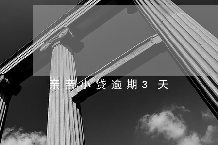 亲亲小贷逾期3天 亲亲小贷逾期3天