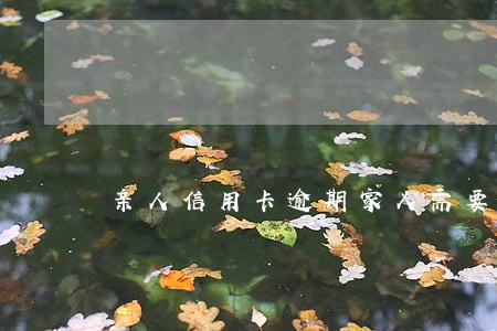 亲人信用卡逾期家人需要还吗 亲人信用卡逾期家人需要还吗