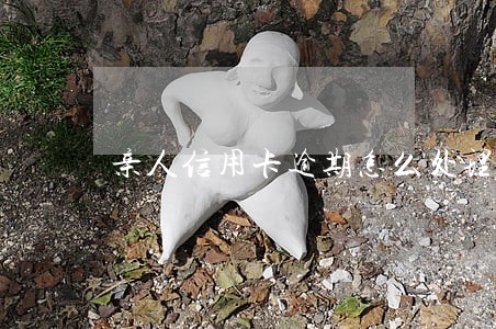 亲人信用卡逾期怎么处理