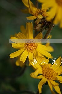 亲人用我的号办信用卡逾期 亲人用我的号办信用卡逾期