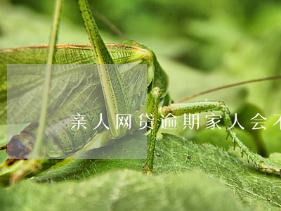 亲人网贷逾期家人会不会影响 亲人网贷逾期家人会不会影响