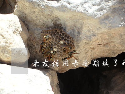 亲友信用卡逾期填了我的号码