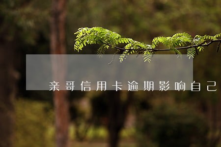 亲哥信用卡逾期影响自己政审吗 亲哥信用卡逾期影响自己政审吗