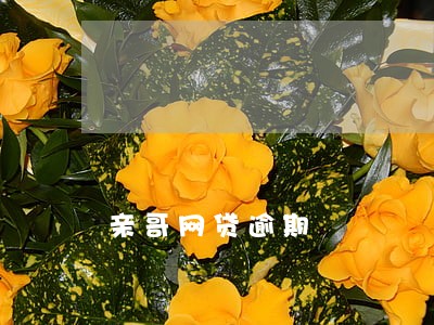 亲哥网贷逾期 亲哥网贷逾期