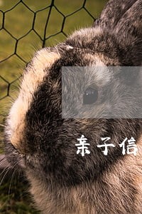 亲子信用卡逾期