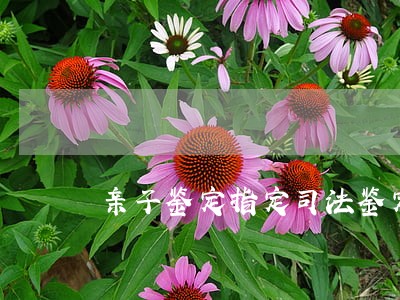 亲子鉴定指定司法鉴定机构 亲子鉴定指定司法鉴定机构