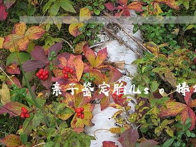 亲子鉴定胎儿so棒华大司法