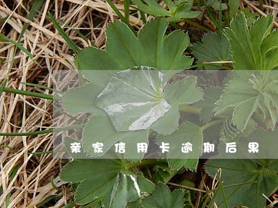 亲家信用卡逾期后果 亲家信用卡逾期后果