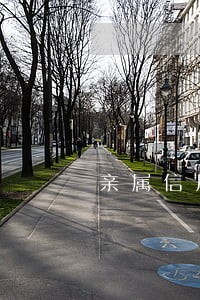 亲属信用卡逾期影响政审吗