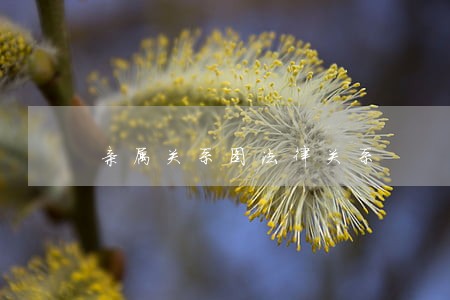 亲属关系图法律关系 亲属关系图法律关系