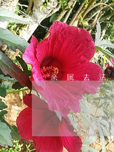 亲属去法院调取案件档案 亲属去法院调取案件档案