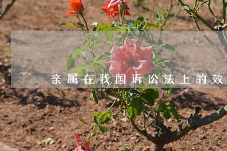 亲属在我国诉讼法上的效力包括